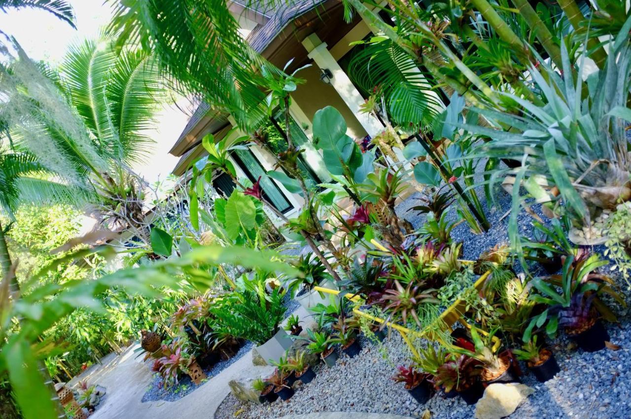 The Nature House Aonang Krabi Thailand Ao Nang Exterior foto
